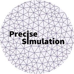 Precise Simulation Logo