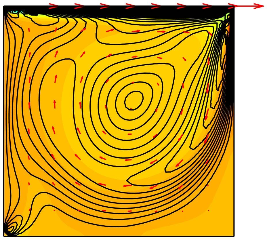 Flow in Driven Cavity