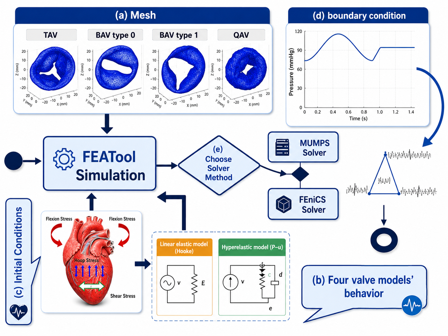 Finite element modeling of the aortic valve. (a) Mesh generation steps, (b) identification of the aortic valve behavior, (c) representation of initial conditions applied to the aortic valve, (d) defining boundary conditions, and (e) finite element solver.