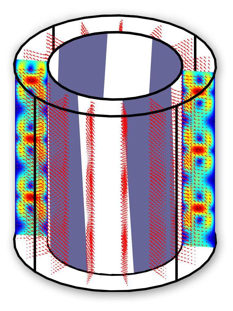 Axisymmetric Swirling Flows